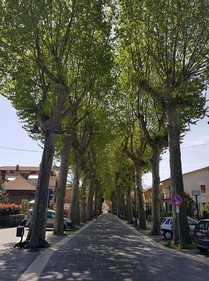 titolo immagine